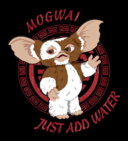 Koszulka z nadrukiem MOGWAI