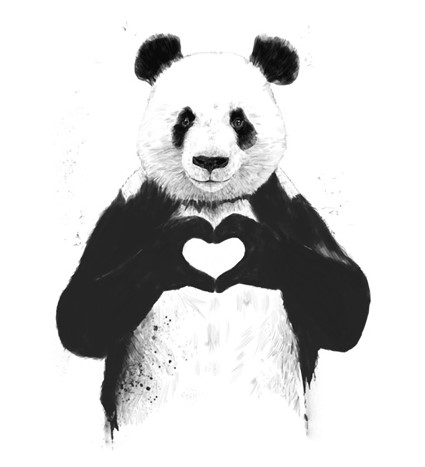 Koszulka damska z nadrukiem Panda