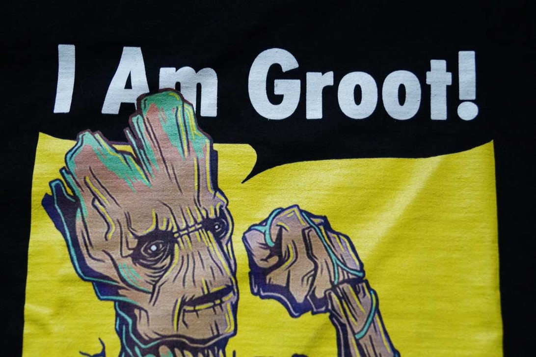 Koszulka z nadrukiem I Am Groot 1